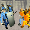 Simulateur de combat – Prison policière