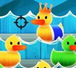 Tir au canard
